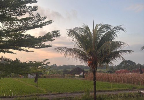 Tanah di Tabanan, Bali